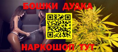 МДПВ Ногинск