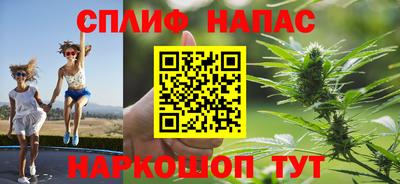 МДПВ Ногинск