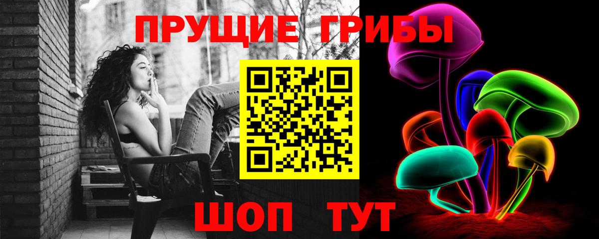Псилоцибиновые грибы Psilocybine cubensis  Вход с VPN  Владимир 